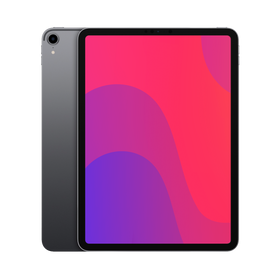 Apple iPad Pro 11" Gen 1 (Wi-Fi) 256GB Black